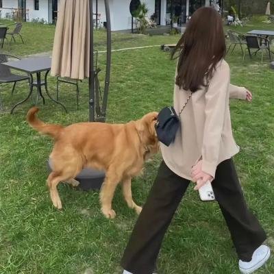 凶鳄